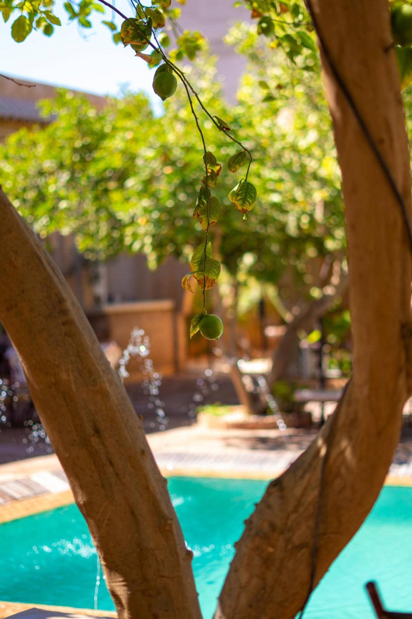 Hotel Riad Jnane Ines Taroudant Exterior foto